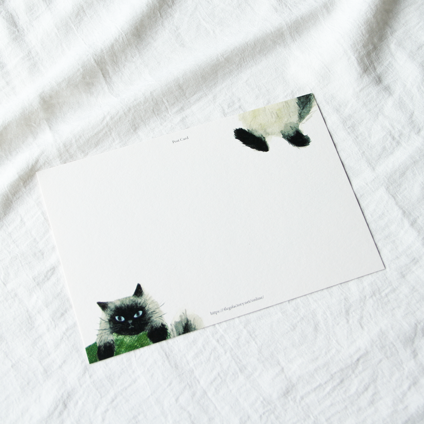 Cats & Us Postcard