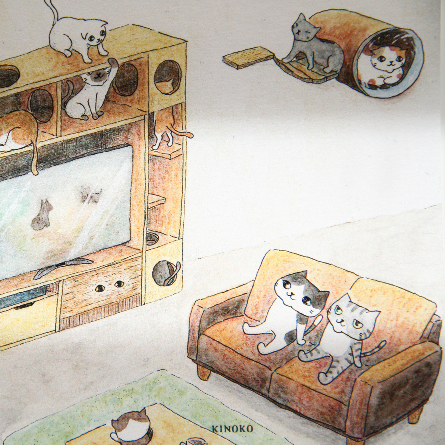 The Secret Life of Cats Postcards