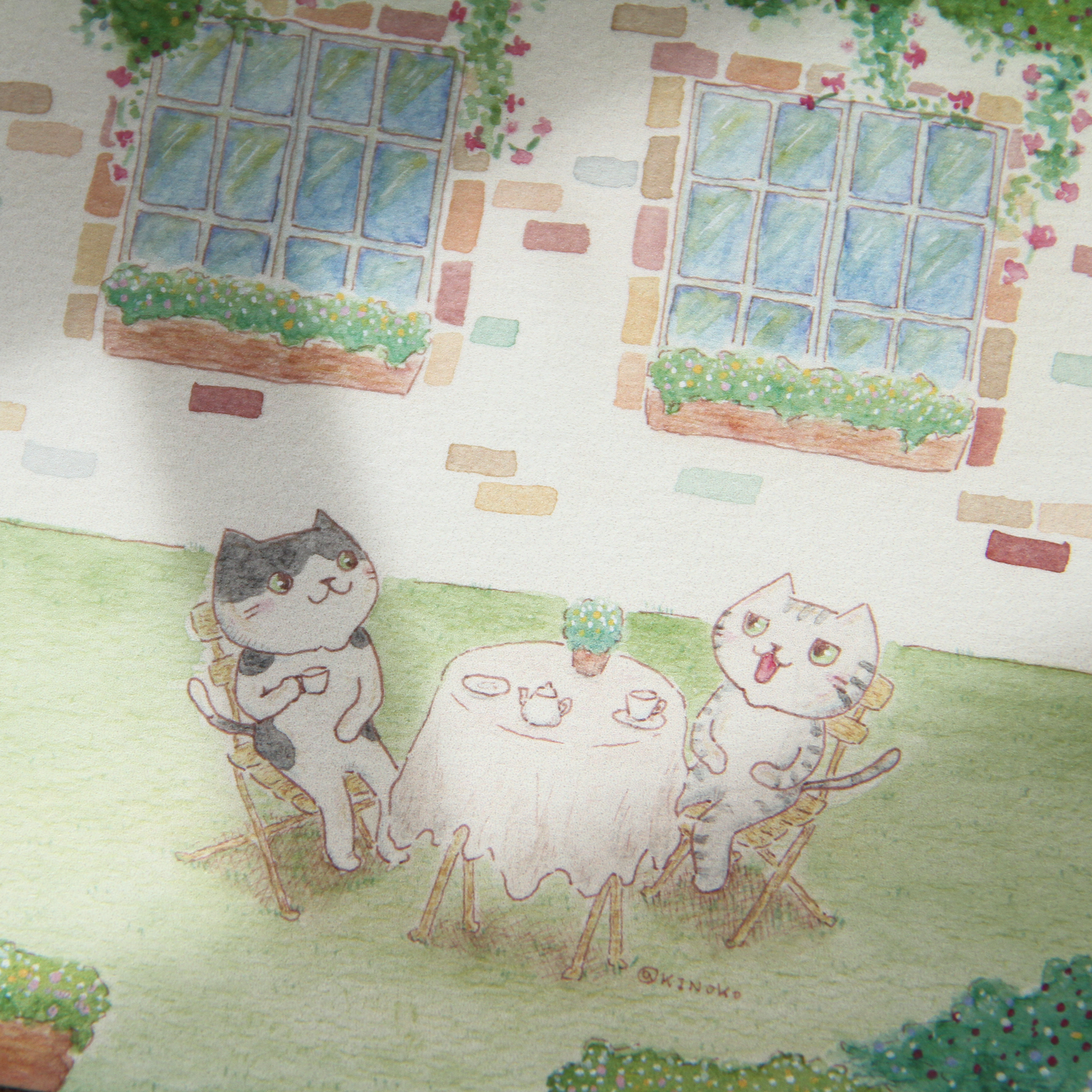 The Secret Life of Cats Postcards