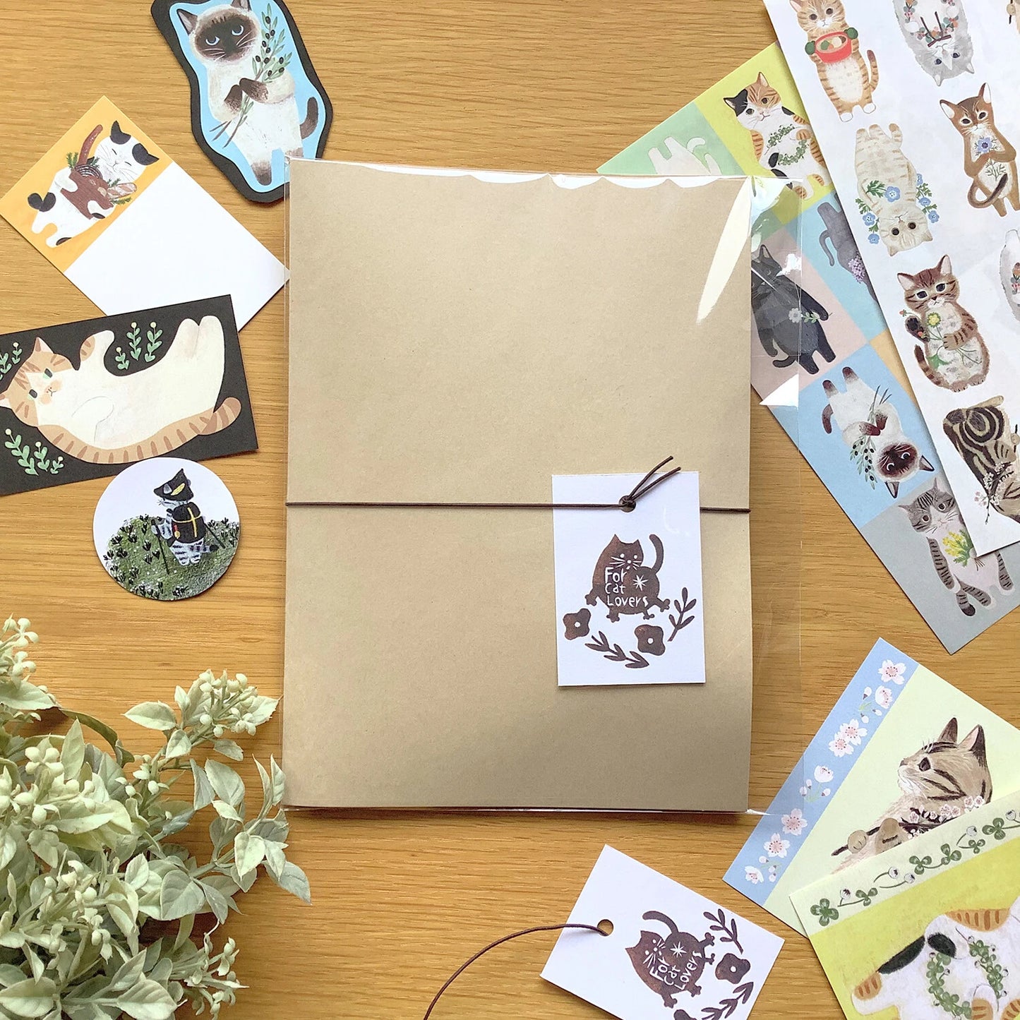 Cat Stationery Gift Set