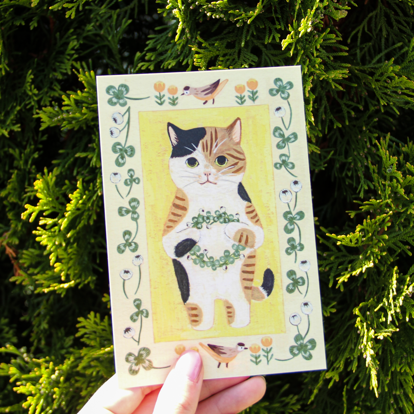 Little Nature Lovers Postcards