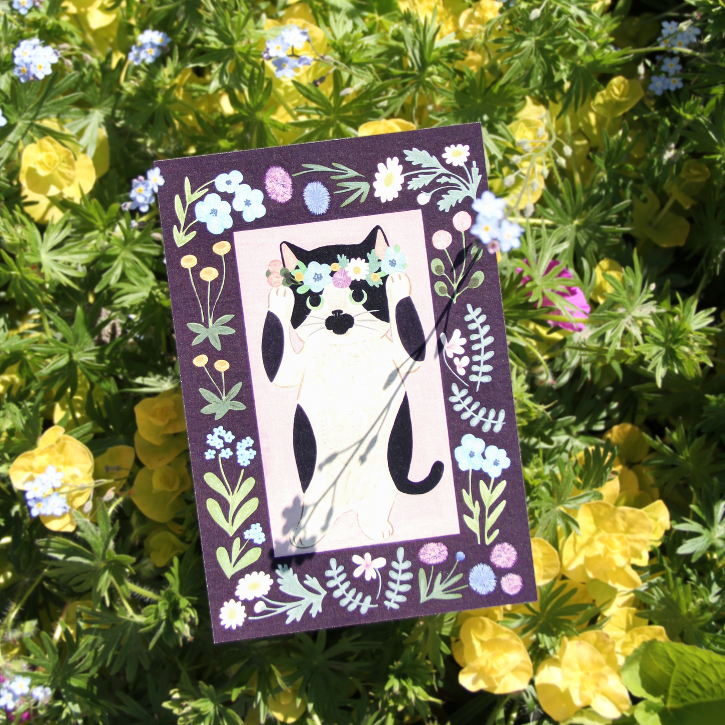 Little Nature Lovers Postcards