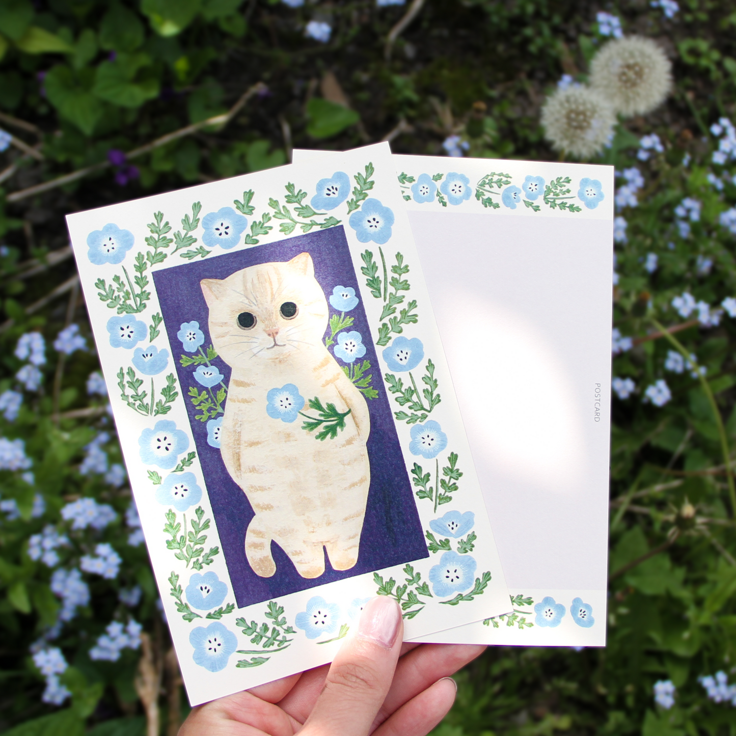 Little Nature Lovers Postcards