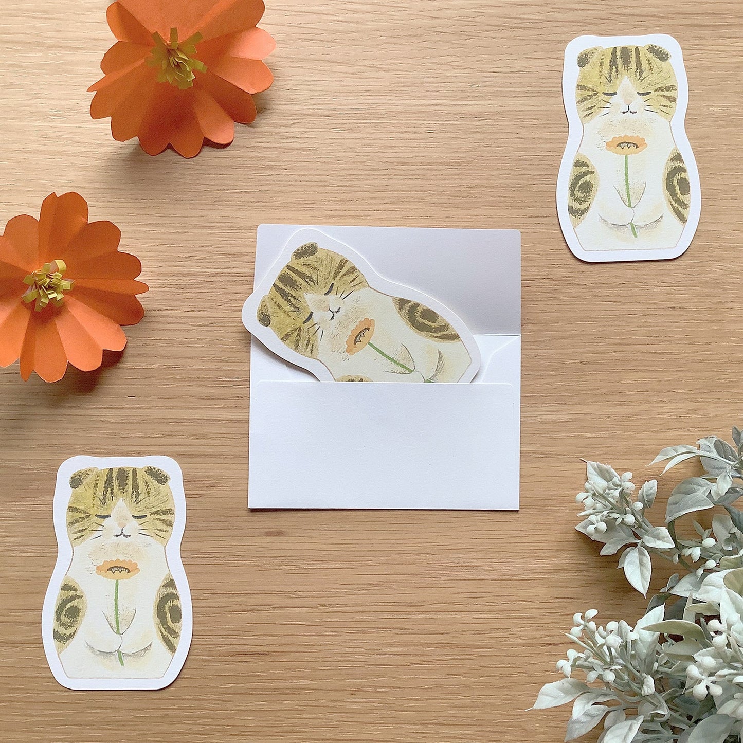 Mini Scottish Fold Greeting Card