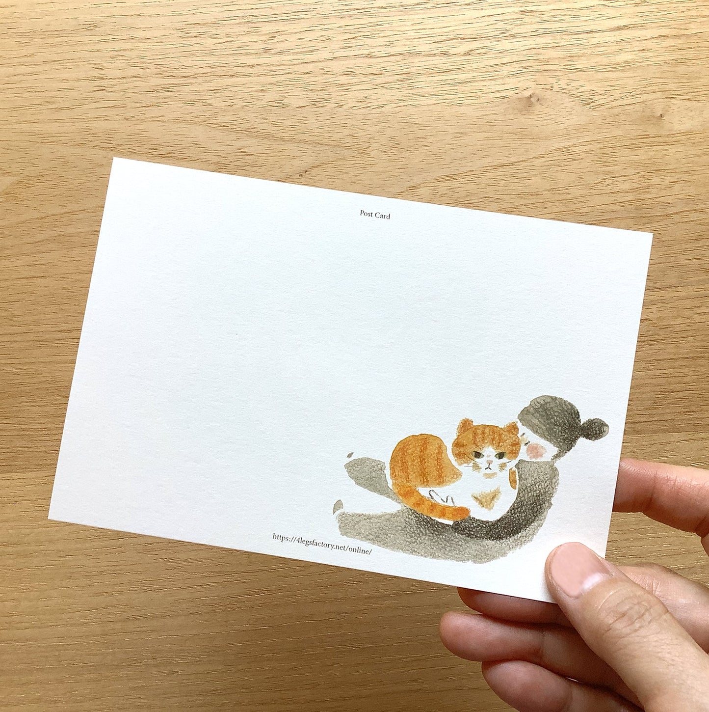 Cats & Us Postcard