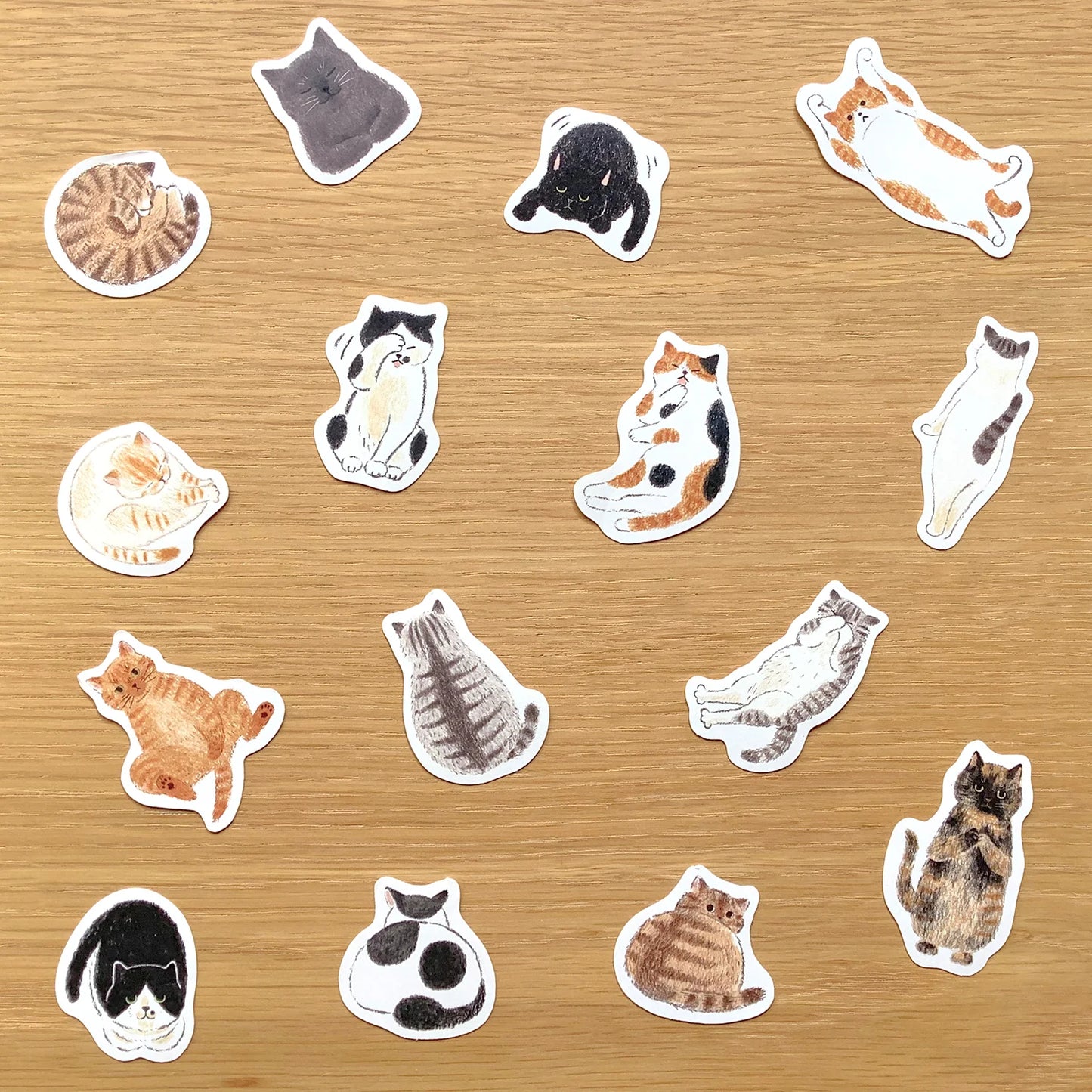 Cat Lover Flake Sticker Gift Set