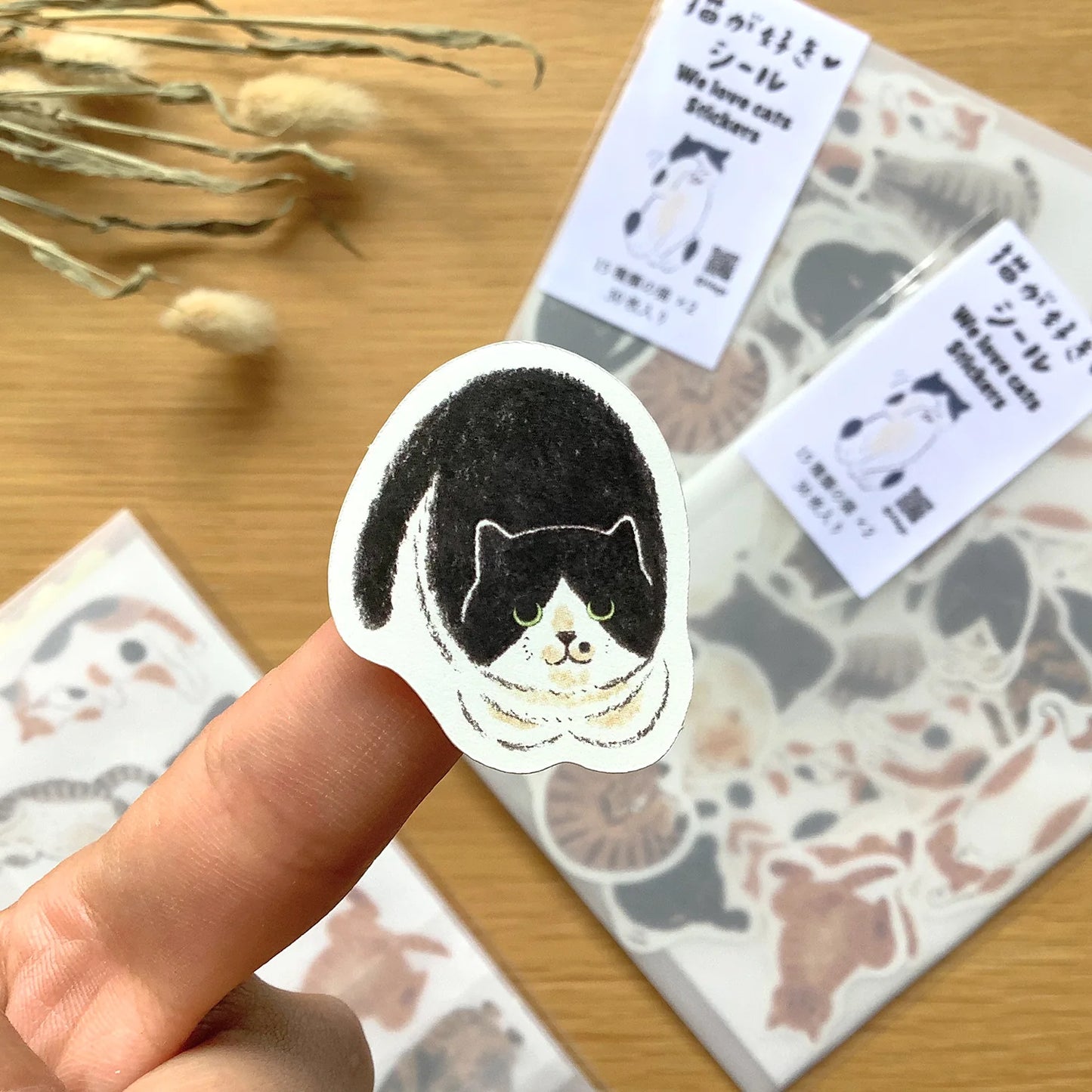 Cat Lover Flake Sticker Gift Set