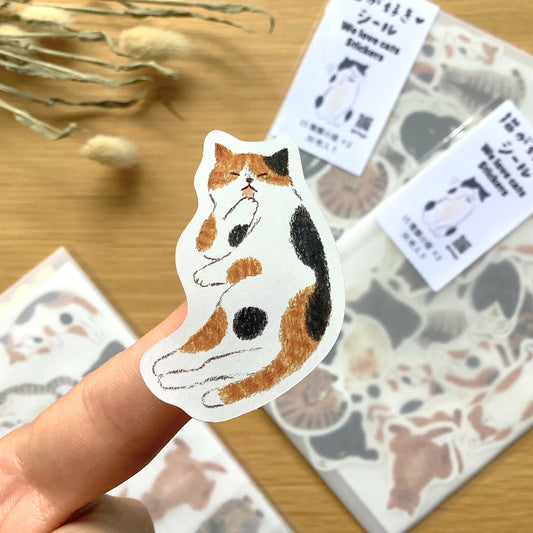 Cat Lover Flake Sticker Gift Set