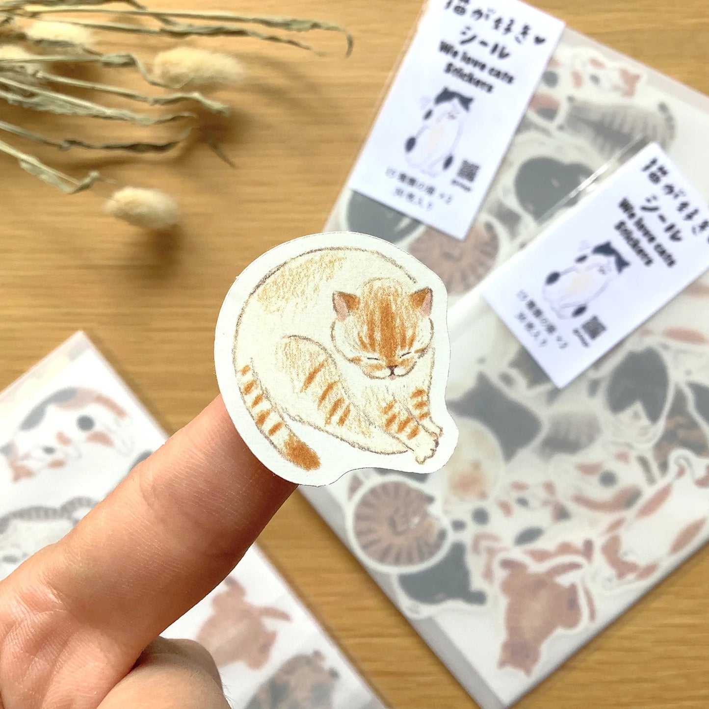 Cat Lover Flake Sticker Gift Set