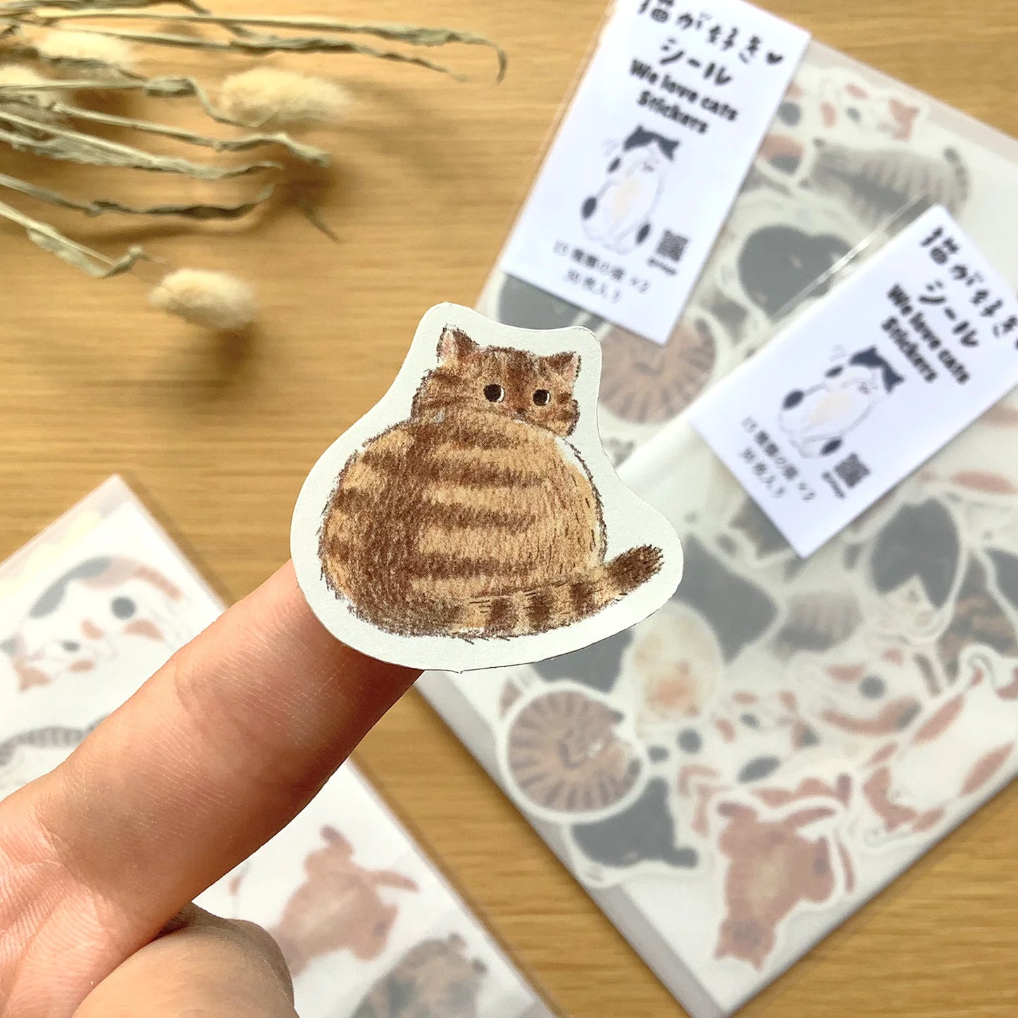Cat Lover Flake Sticker Gift Set