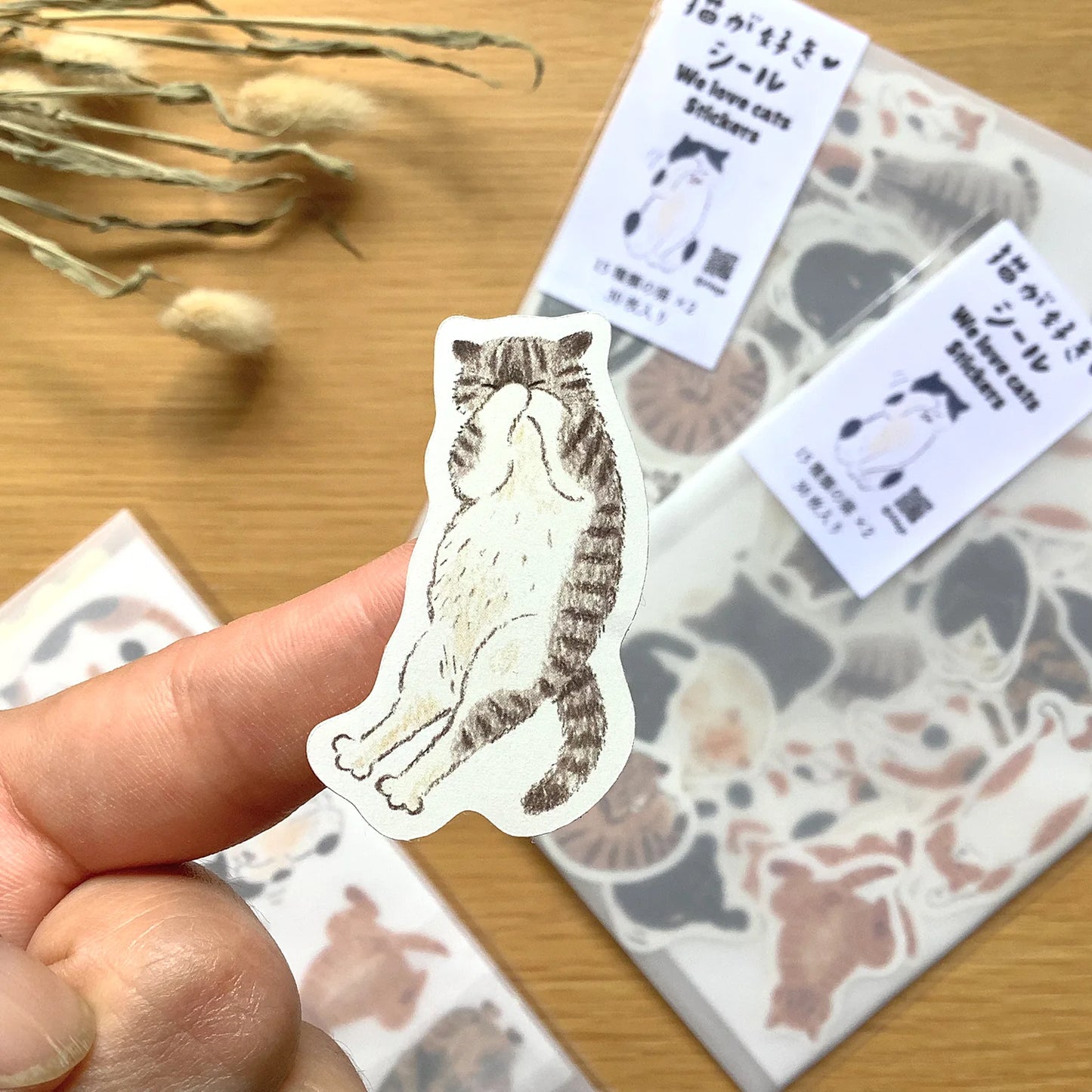 Cat Lover Flake Sticker Gift Set