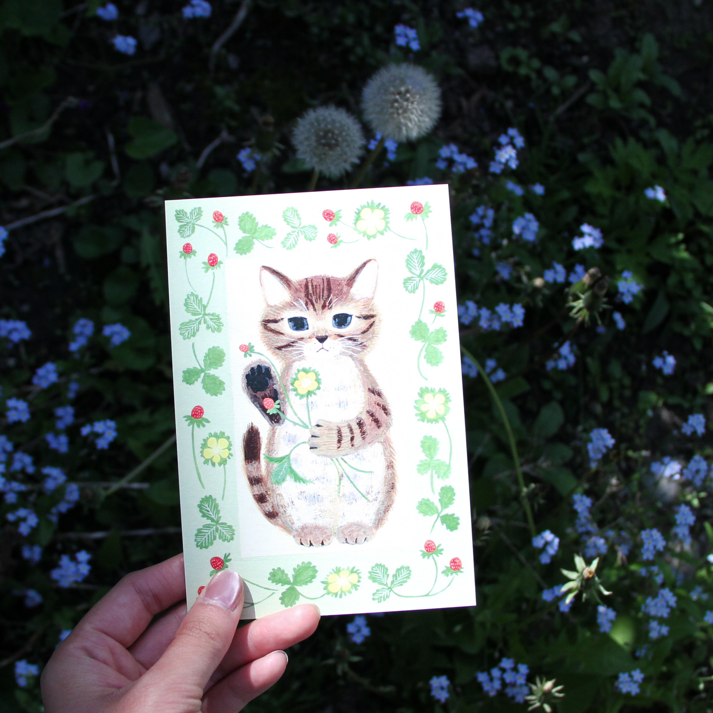 Little Nature Lovers Postcards