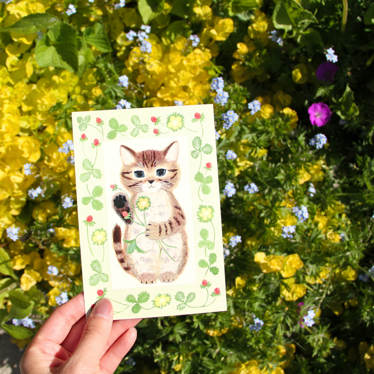 Little Nature Lovers Postcards