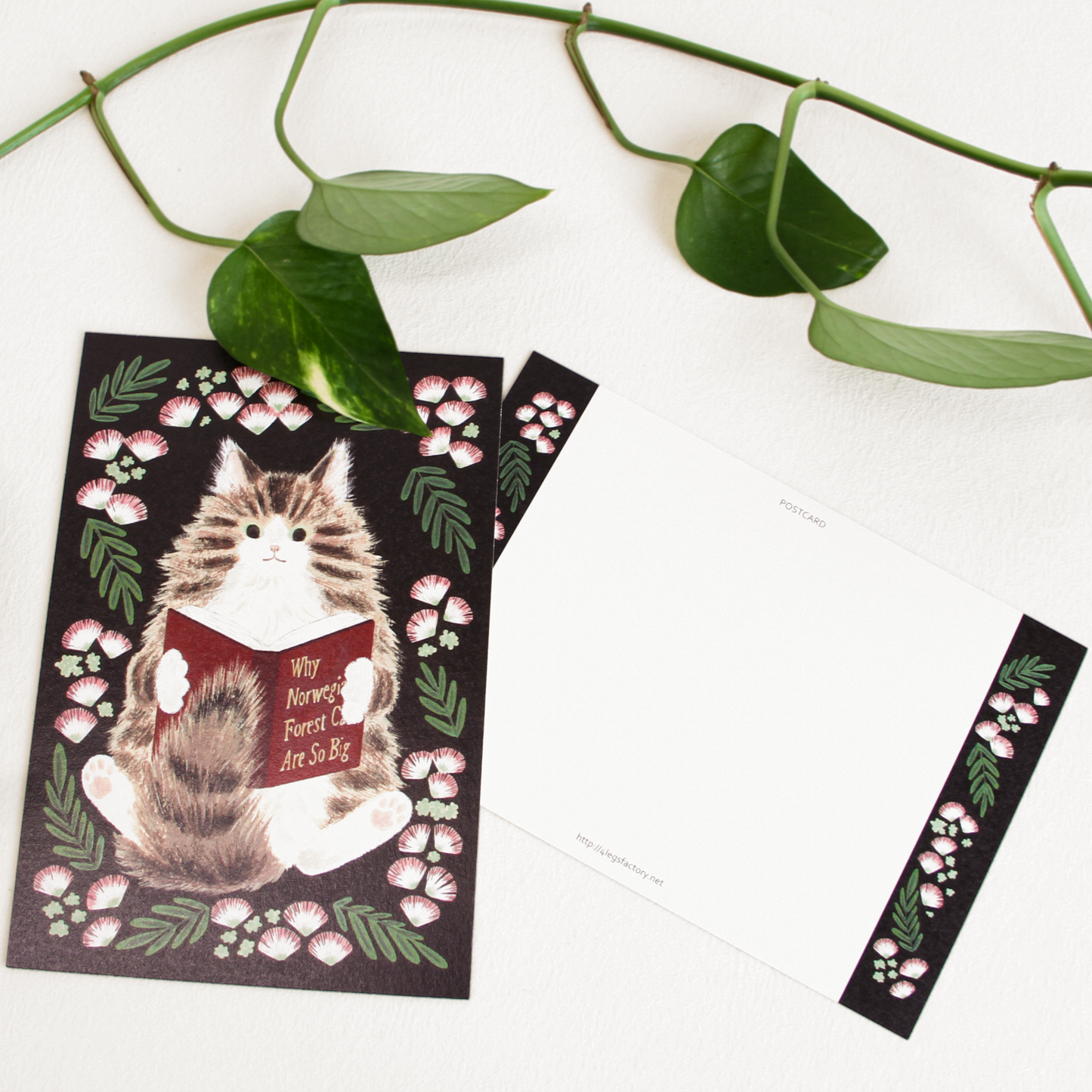Little Nature Lovers Postcards