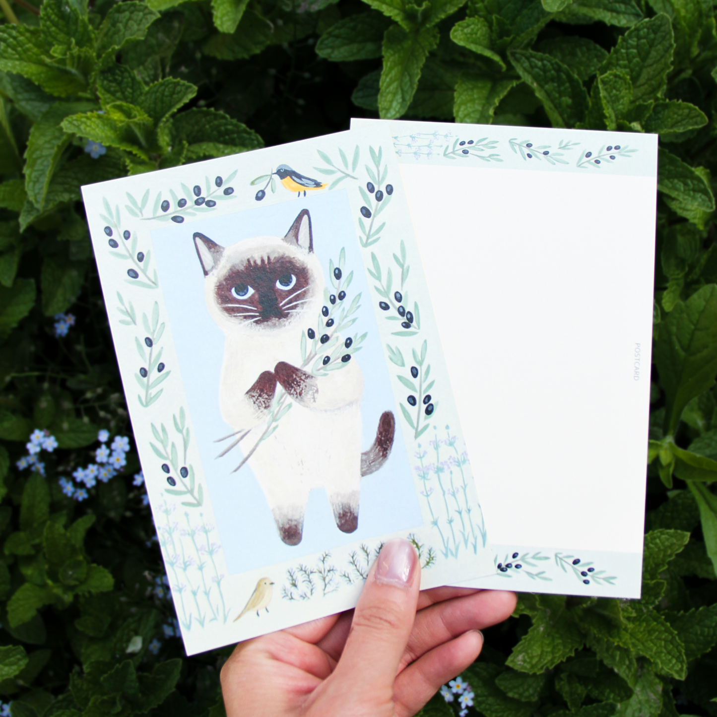 Little Nature Lovers Postcards