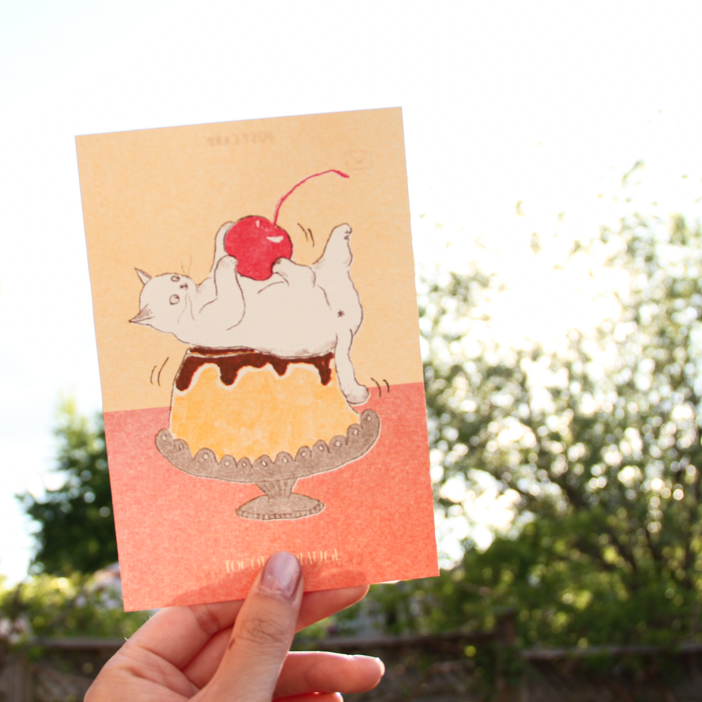 Retro-Printed Komugi Café Postcards