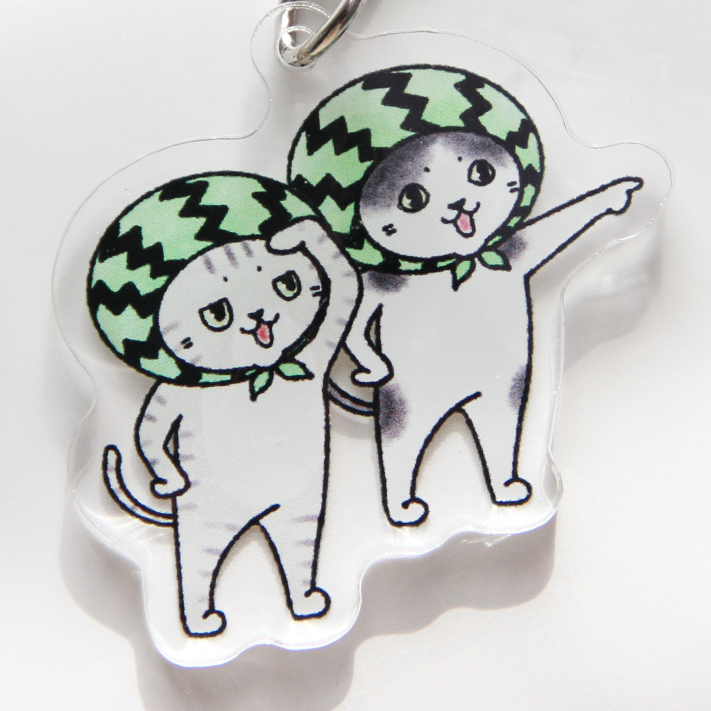 Watermelon Explorers Keychain