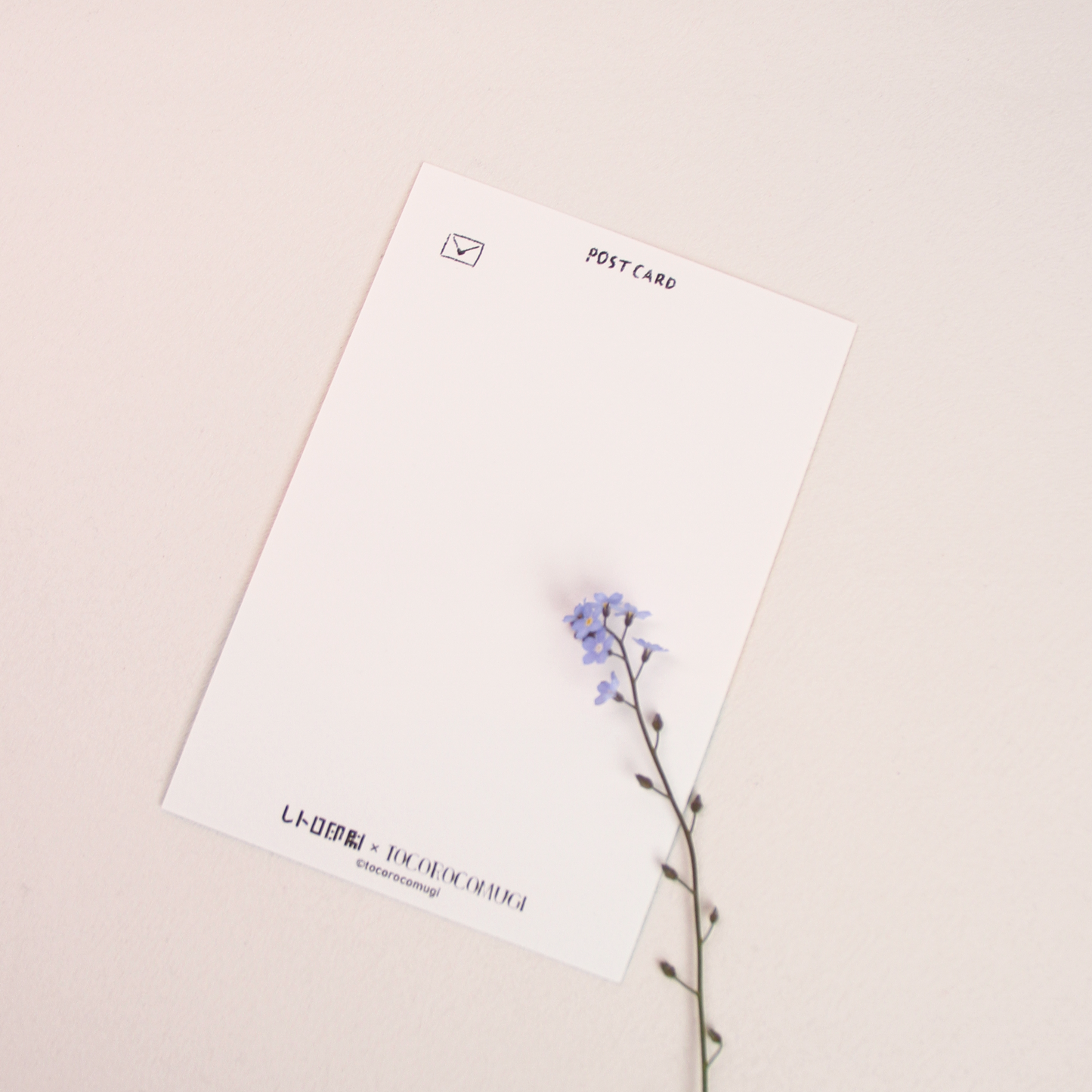 Retro-Printed Komugi Café Postcards
