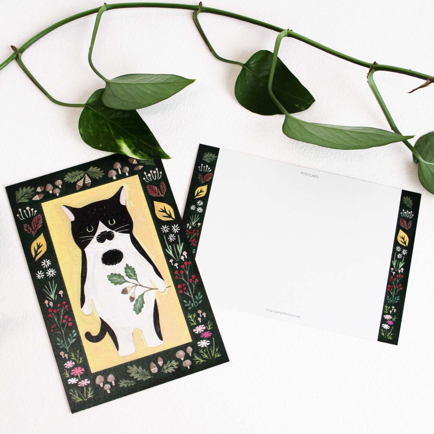 Little Nature Lovers Postcards
