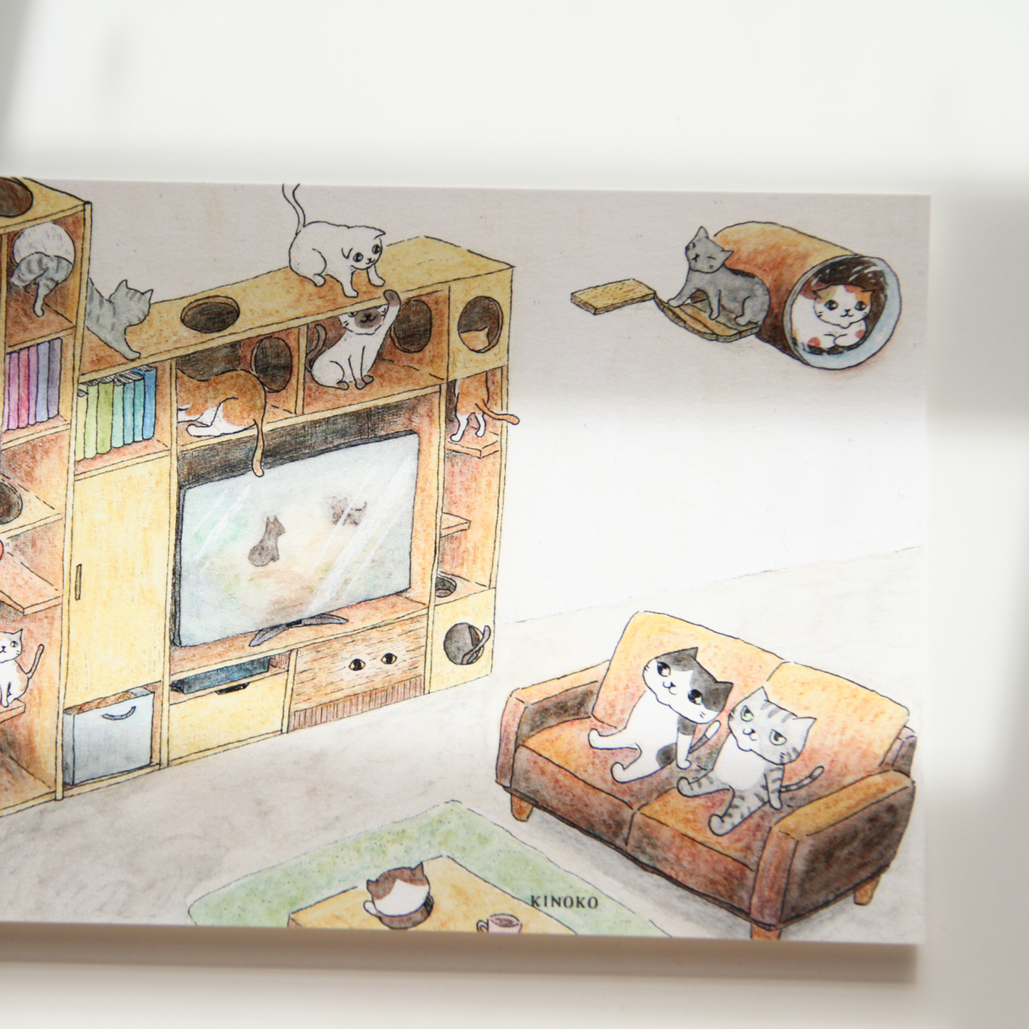 The Secret Life of Cats Postcards