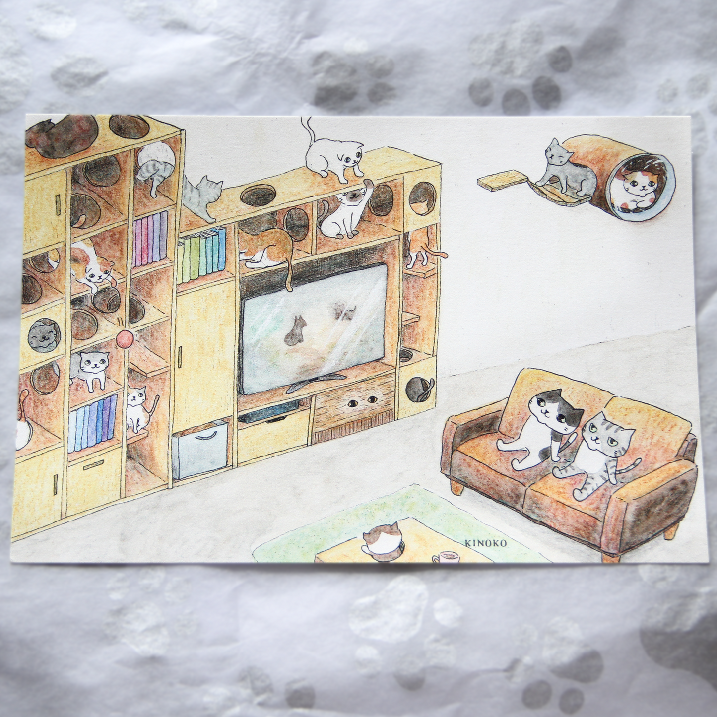 The Secret Life of Cats Postcards