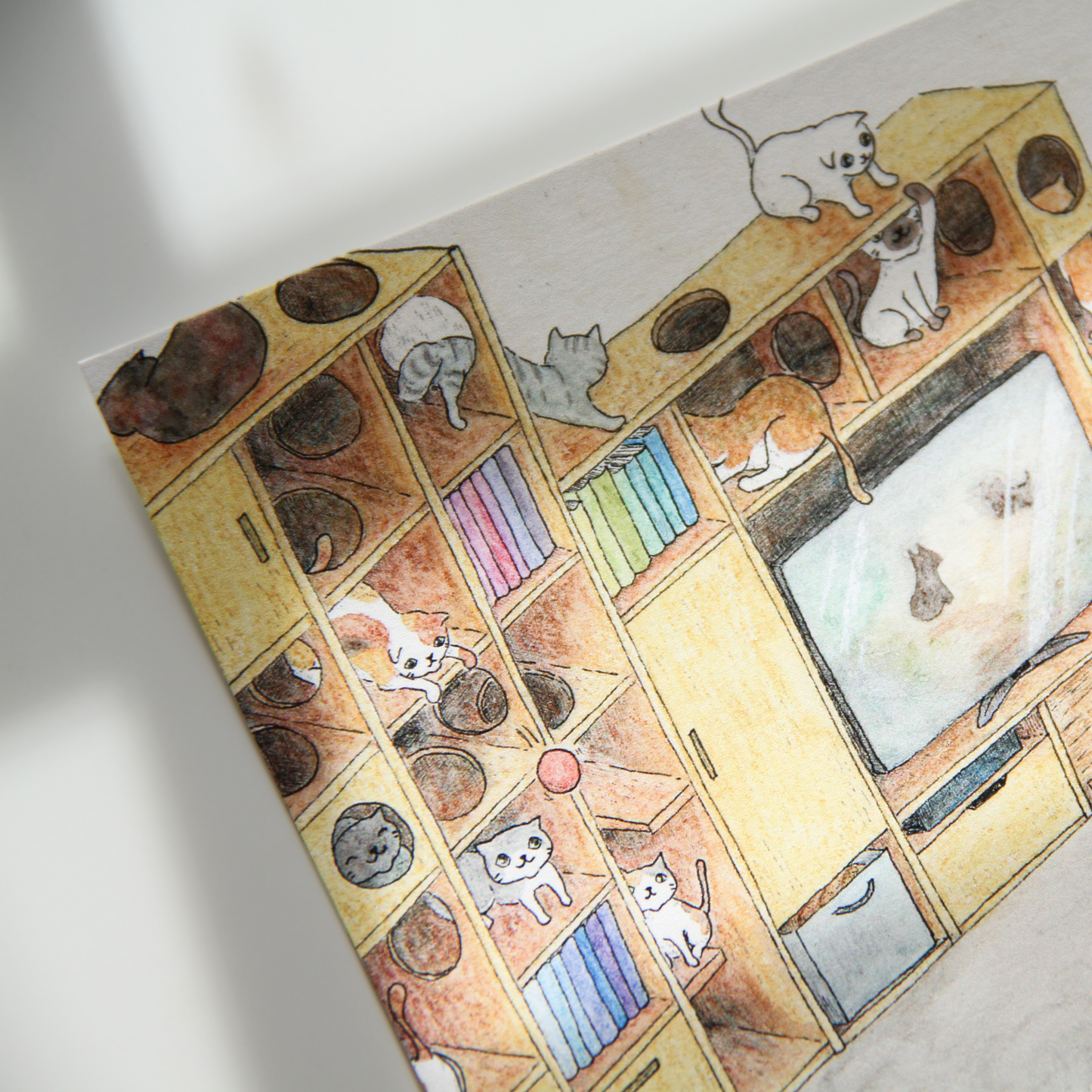 The Secret Life of Cats Postcards