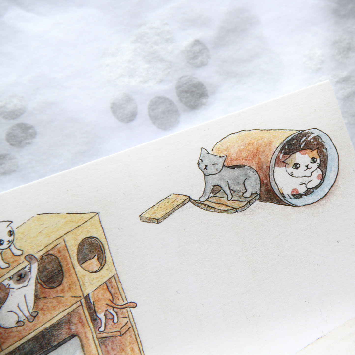 The Secret Life of Cats Postcards