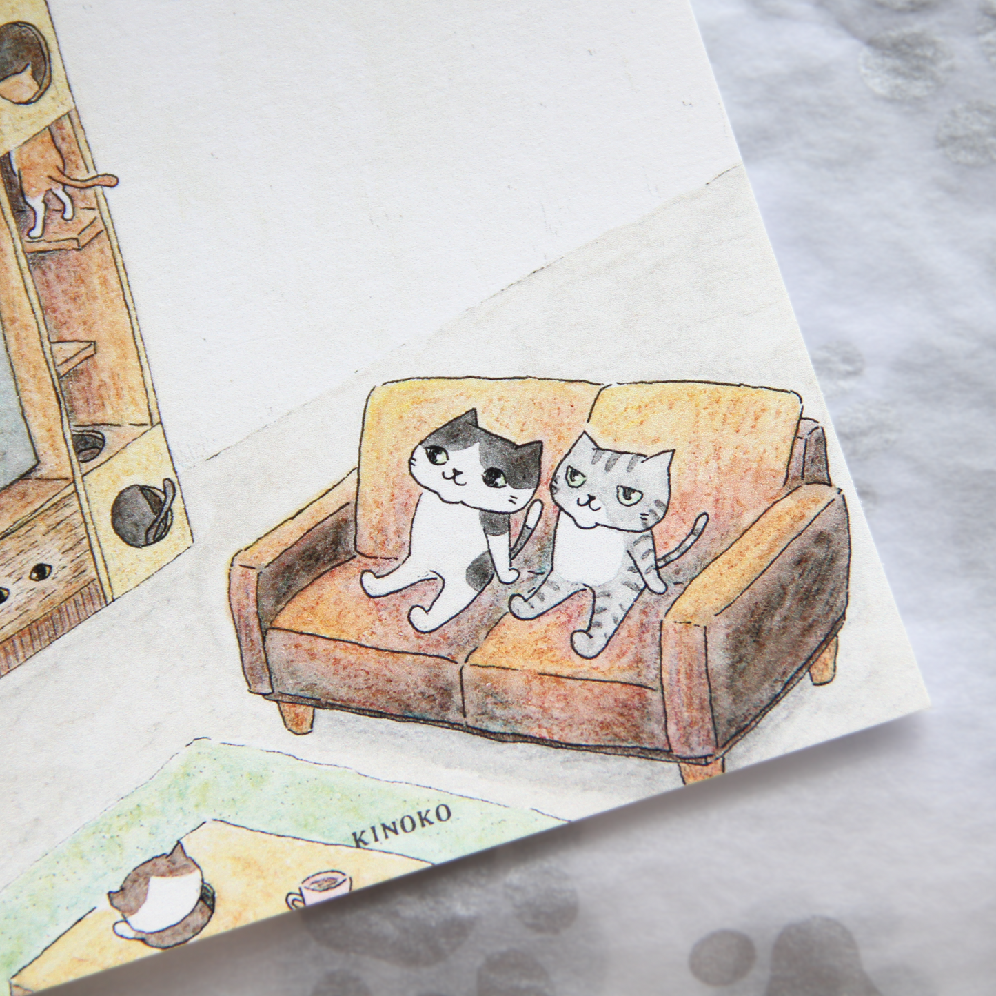 The Secret Life of Cats Postcards