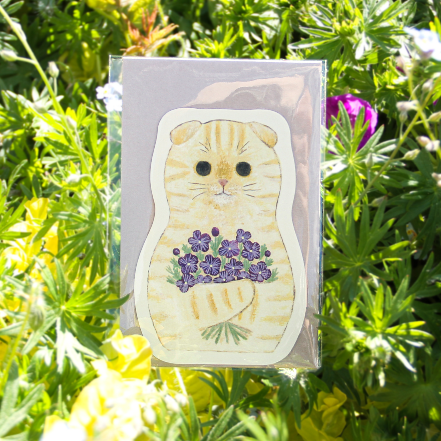 Mini Scottish Fold Greeting Card