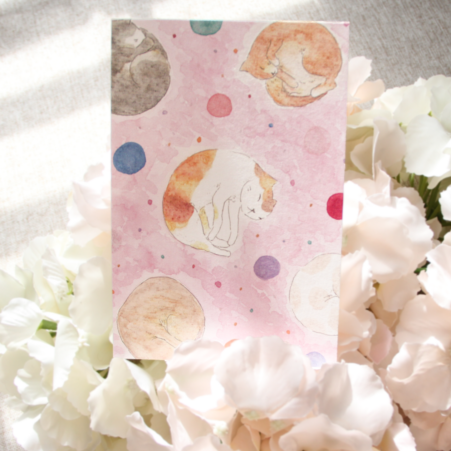 Cat Dreamworlds Postcards