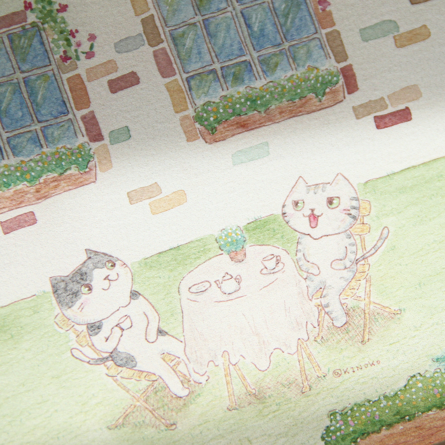 The Secret Life of Cats Postcards